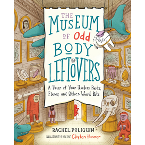 Book cover of The Museum of Odd Body Leftovers by Rachel Poliquin