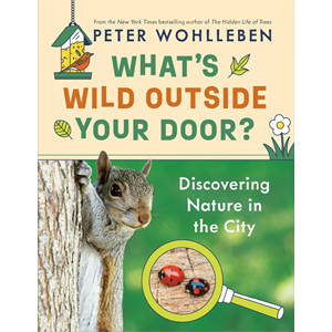 Book cover of What's Wild Outside Your Door by Peter Wohlleben